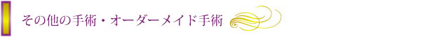 ̑̎pEI[_[Chp
